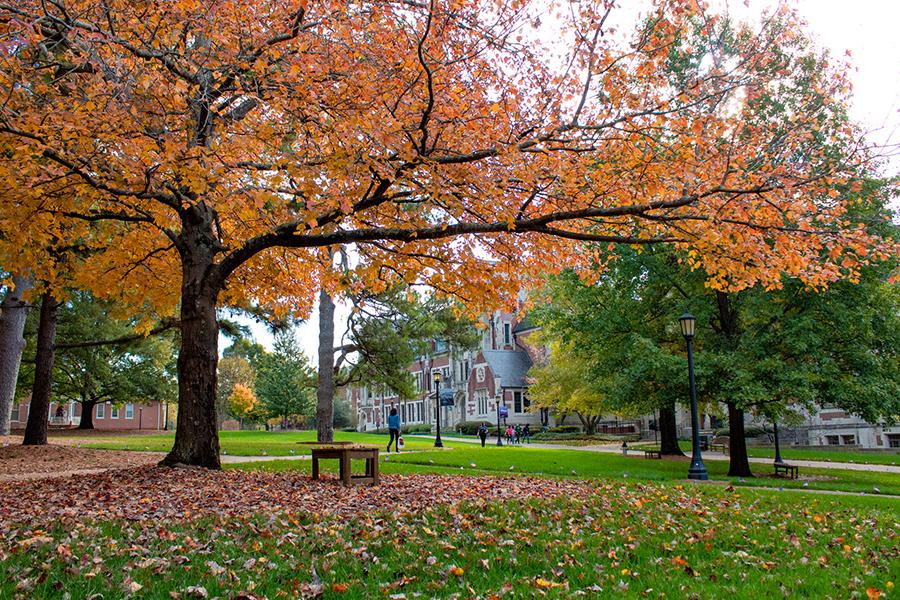 校园前院面对着秋天的巴特里克大厅，有一棵秋天的树.